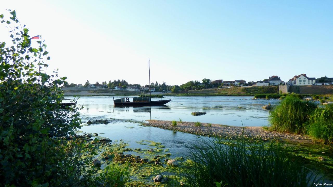 La Vue Loire Maison Saint-Denis-de lʼHôtel Buitenkant foto